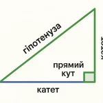 Катет у трикутнику: просте пояснення для школярів і дорослих