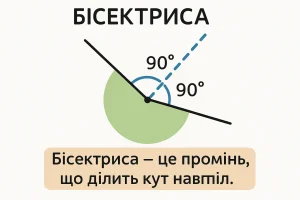 Що таке бісектриса — визначення та просте пояснення