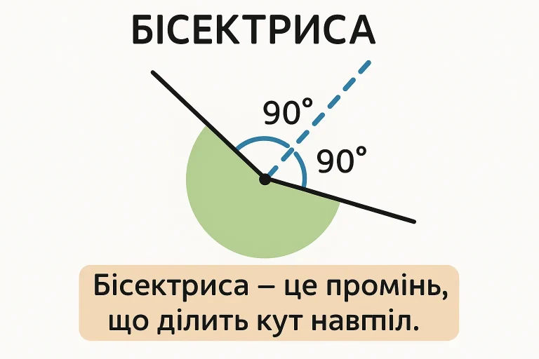Що таке бісектриса — визначення та просте пояснення