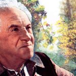 У теплі дні збирання винограду