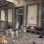 Нова пошта тимчасово закриває відділення у Святогірську та попереджає про затримки доставок