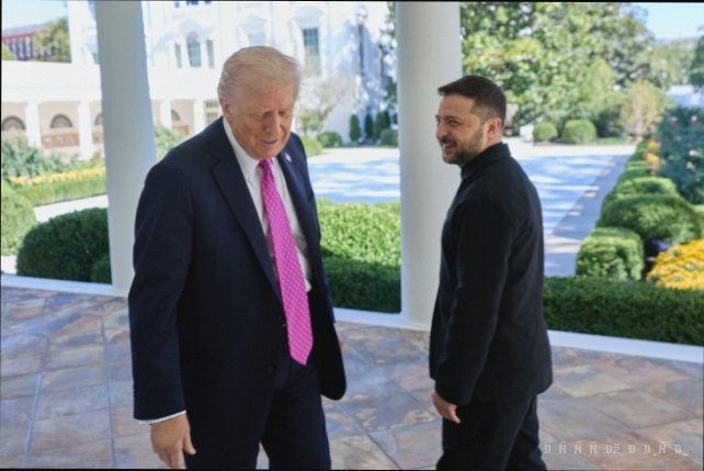 Трамп і Зеленський можуть зустрітись 28 грудня у Флориді – ЗМІ