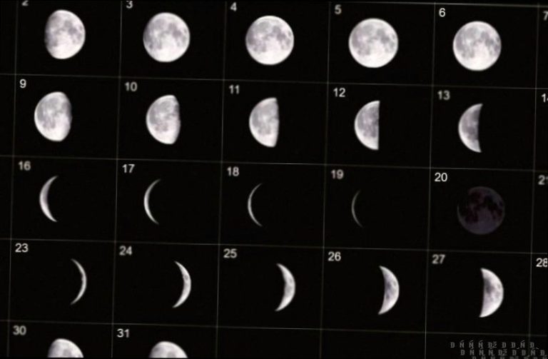 Яка фаза Місяця сьогодні 29 грудня