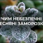 Весняні заморозки в Україні: чим вони небезпечні
