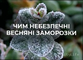 Весняні заморозки в Україні: чим вони небезпечні