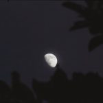 Фаза Місяця 19 червня 2026: що чекає цього дня