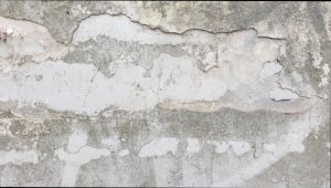 Захист фарби стін від вицвітання влітку: поради