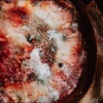 Чому у серпні псуються продукти швидше: мікробіологія